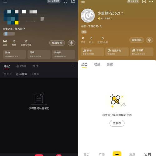 小蜜蜂打卡下截app