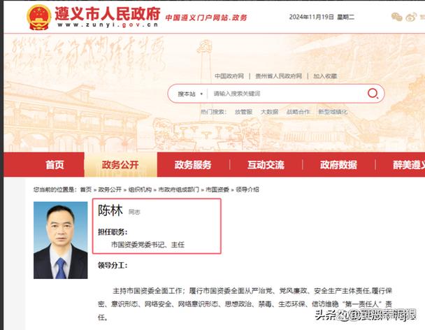 陈林个人简介图片截图2