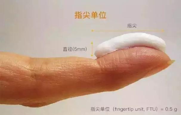 fingertip 翻译