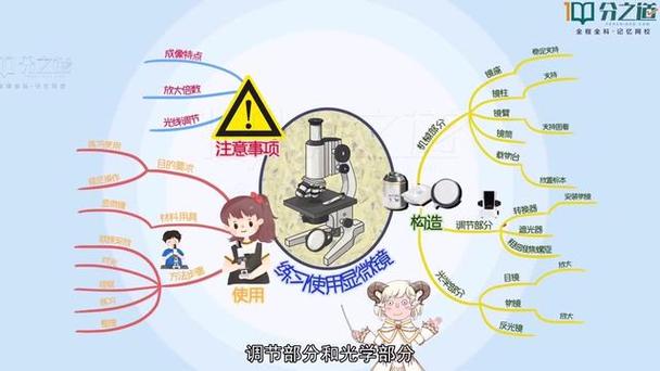 七年级上册生物显微镜的使用步骤