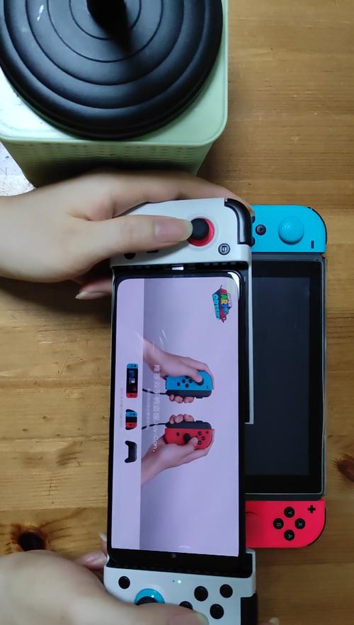 蛋蛋模拟器数据包