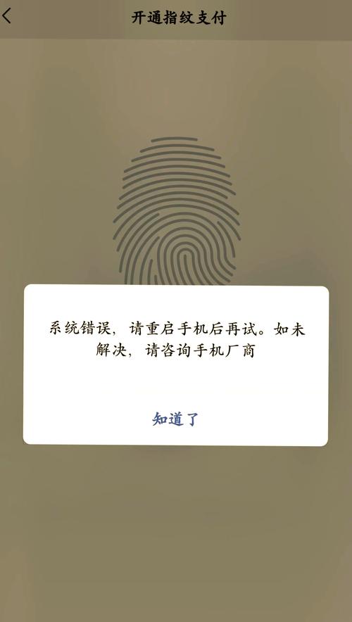支付宝指纹暂时不可用是怎么回事