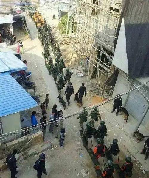 博社村