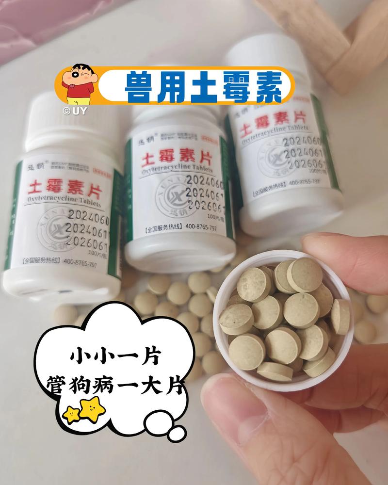 鸡毛蓬松喂土霉素可以吗