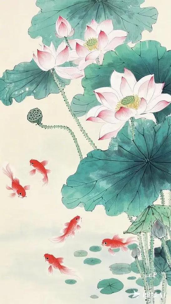 国画荷花鱼图片大全大图