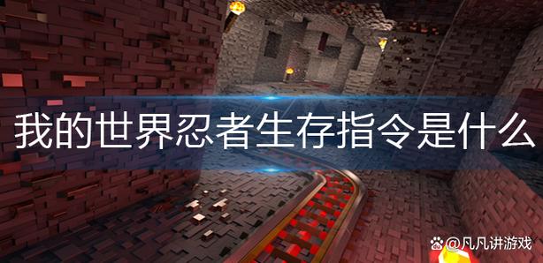 我的世界网易版忍者生存指令