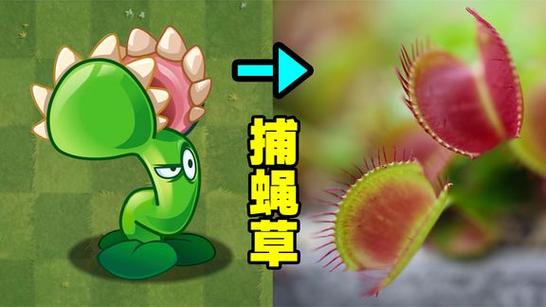 植物大战僵尸新植物捕蝇草截图2
