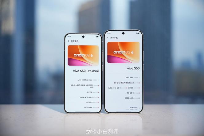 懂行的人建议买S50还是s50mini