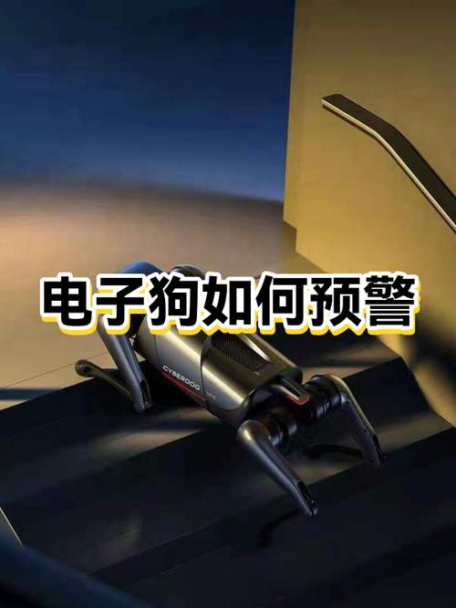 交警一般不查电子狗的原因