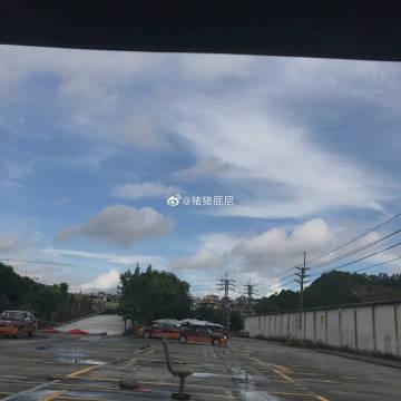 sp工作室(二)微博