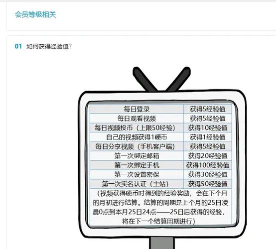 B站一天的经验