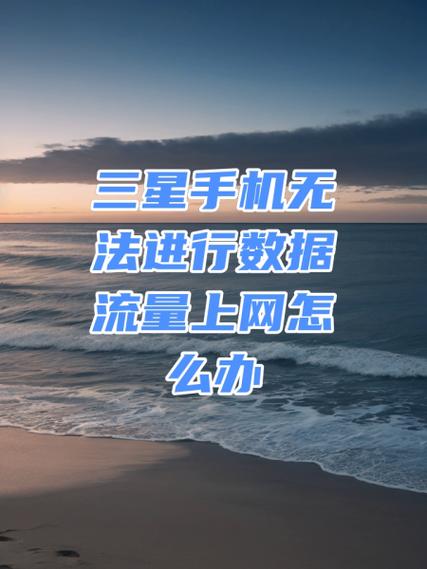三星流量打开了为什么不能上网