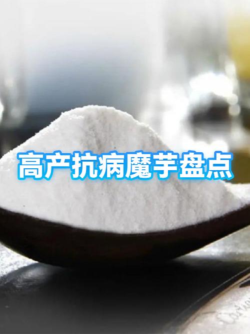 魔芋有几个品种图片