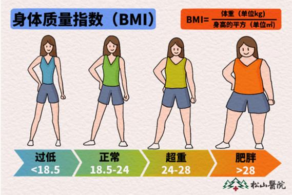 女性bmi标准范围