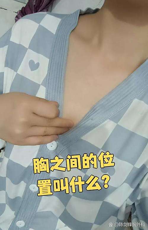 胸下面中间位置是什么截图3