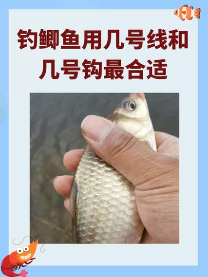 野钓2.0的主线粗了吗