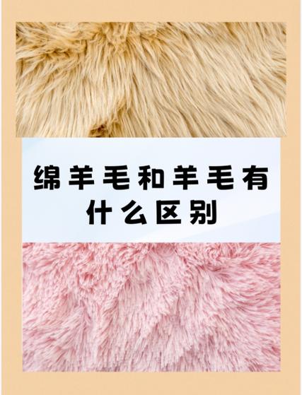 全羊毛和绵羊毛的区别