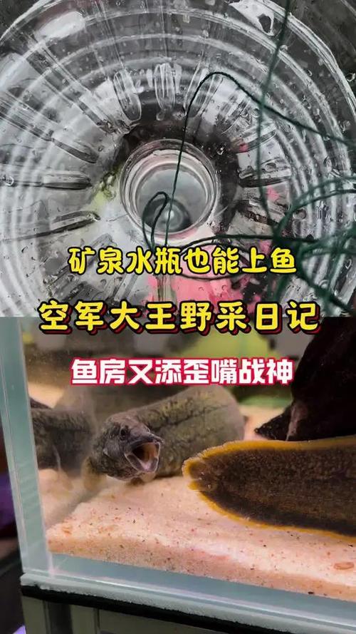 矿泉水瓶制作捕鱼器