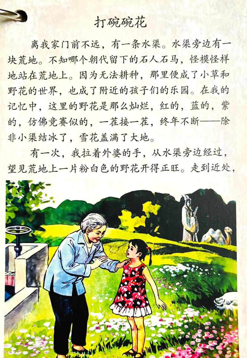 和平之花朗诵崇正书院版 和平之花朗诵崇正书院版