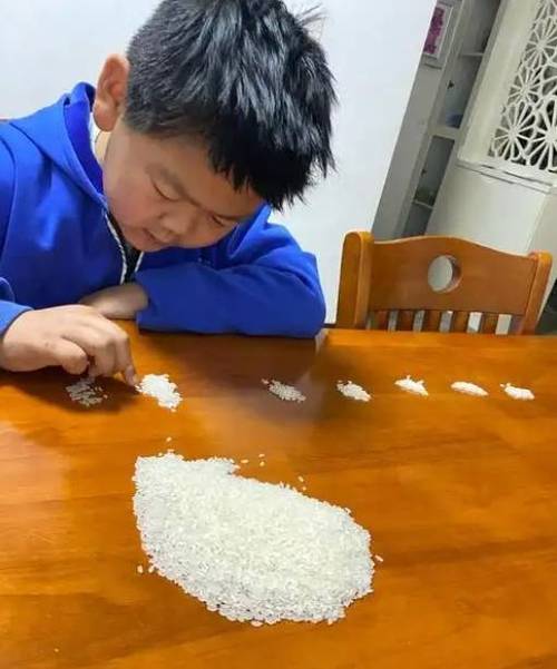 米粒任务