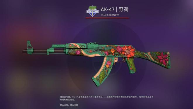 csgo枪械改名好听日文名字