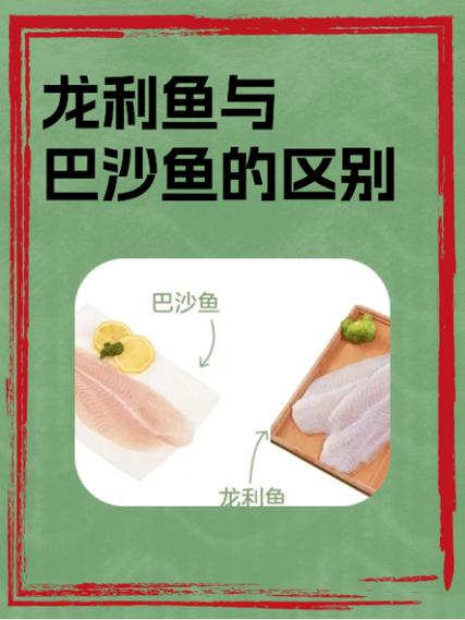 龙利鱼与巴沙鱼的区别