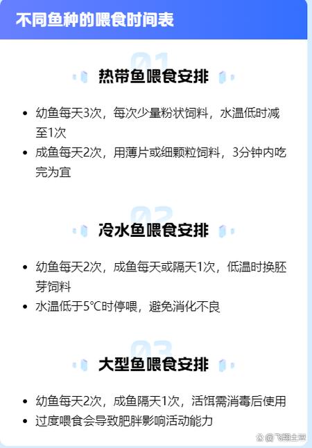 鱼几天喂一次最好