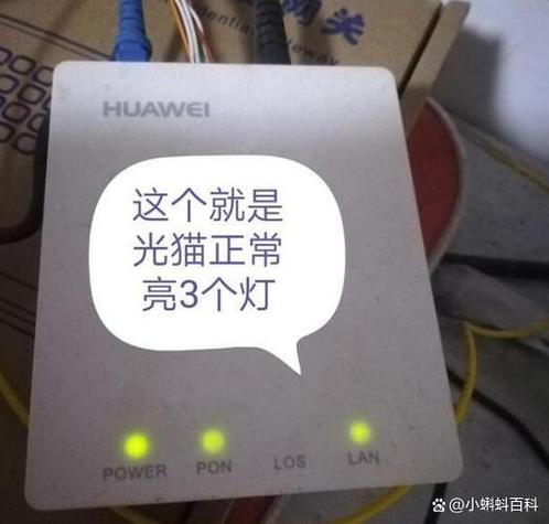 猫上面的灯怎么显示是正常的