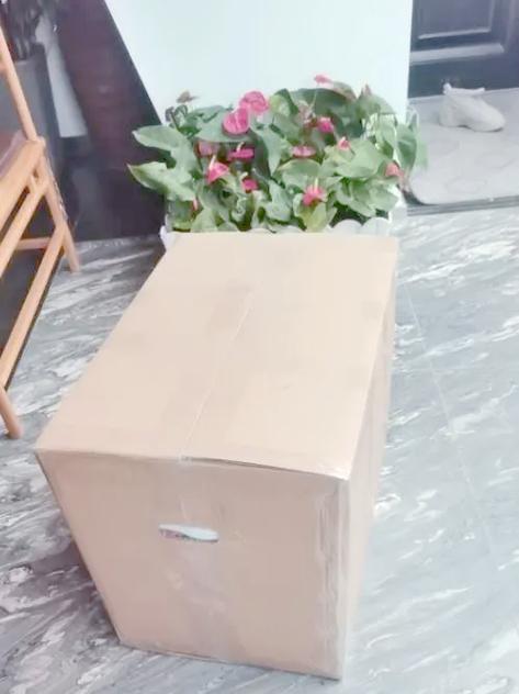 50斤的东西寄什么快递最便宜截图1