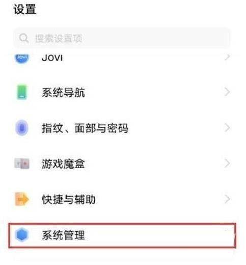 iqoo翻译成中文