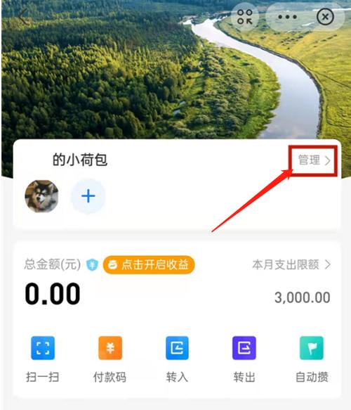 支付宝怎样设置支付限额功能