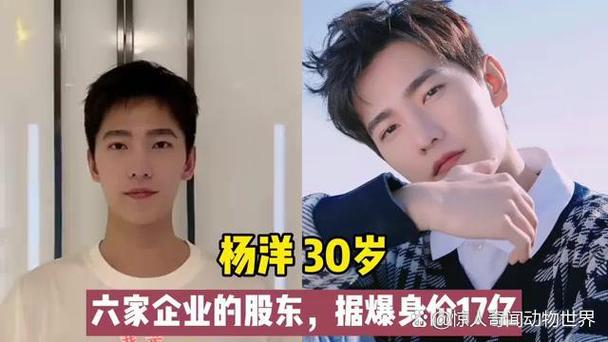 杨洋个人资产多少亿