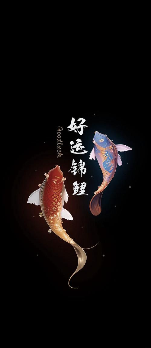 锦鲤消消立言科技