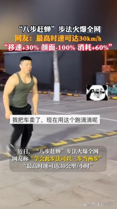 支付宝步数对应的蚂蚁森林能量