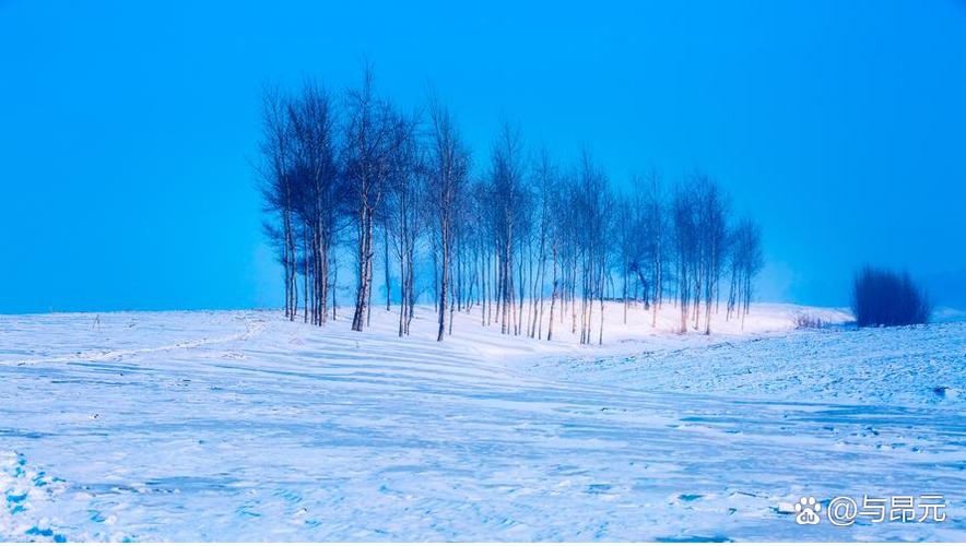 什么的雪地截图3