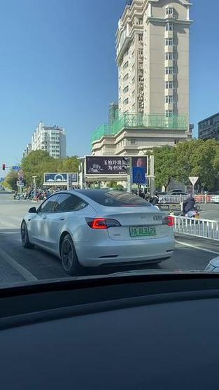 为什么特斯拉叫电耗子