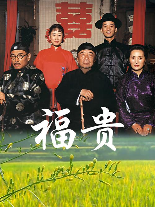 福贵1-40集免费观看完整版截图3