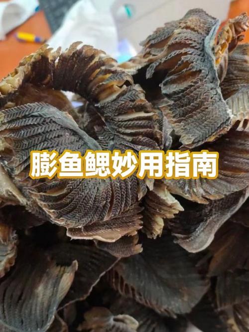 孕妇吃膨鱼鳃的功效