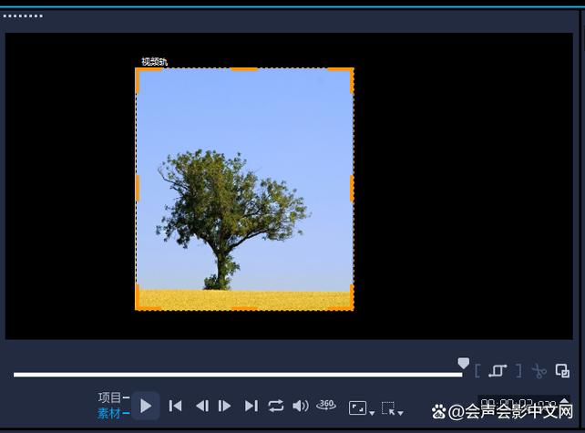 视频裁剪画面大小