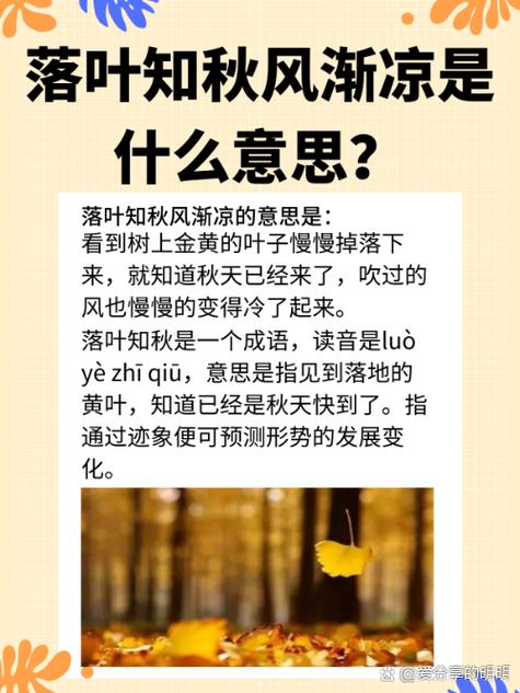 树叶代表什么含义