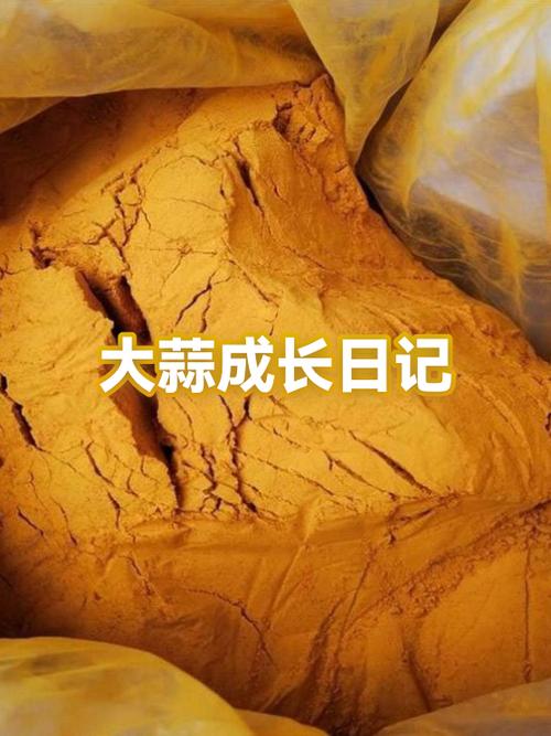 蒜苗的生长过程观察记录表