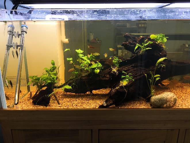 南美水族北京版截图2