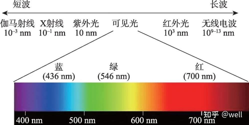 光型的种类截图1