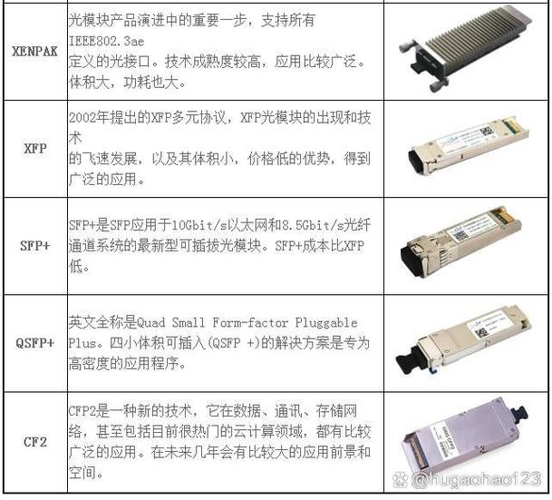 光型的种类截图3