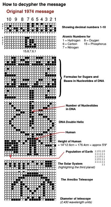 第三方知乎hydrogen下载截图3