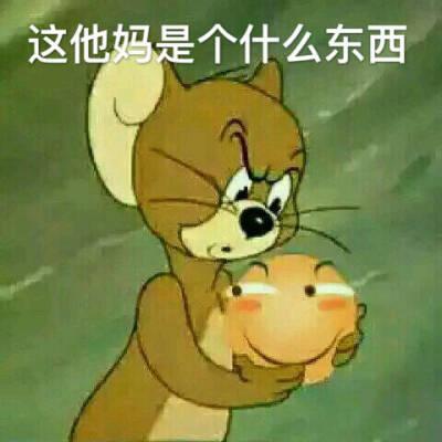 杰瑞是骂人还是夸人
