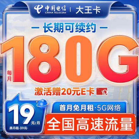 电信流量大王卡