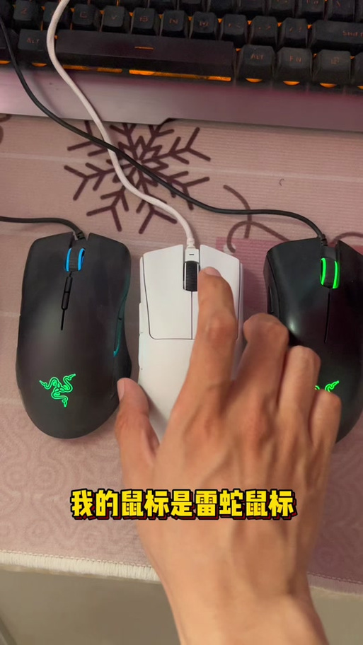 炼狱蝰蛇鼠标宏