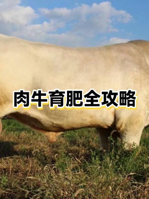 养30头牛一年的利润有多少钱