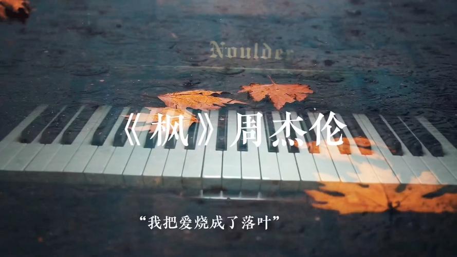 周杰伦枫mp3免费下载